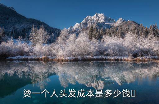 燙一個人頭發成本是多少錢?
