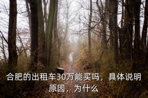 合肥的出租車30萬能買嗎，具體說明原因，為什么