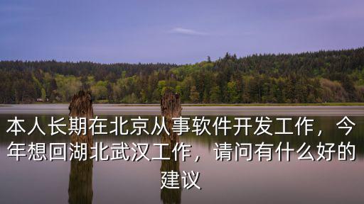 本人長期在北京從事軟件開發(fā)工作，今年想回湖北武漢工作，請問有什么好的建議
