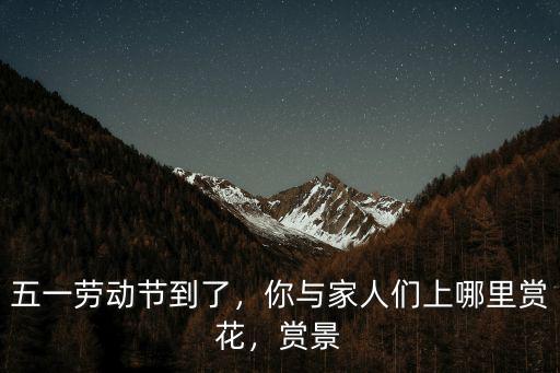 五一勞動(dòng)節(jié)到了，你與家人們上哪里賞花，賞景
