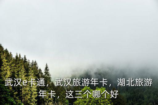 武漢e卡通，武漢旅游年卡，湖北旅游年卡，這三個哪個好