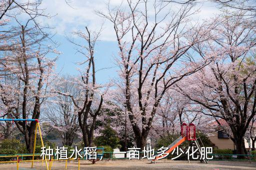復合肥水稻用多少,一畝地多少化肥