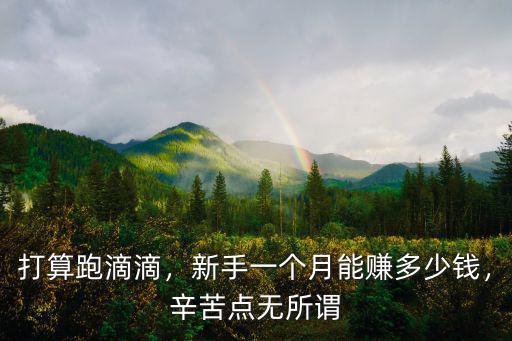 打算跑滴滴，新手一個月能賺多少錢，辛苦點無所謂