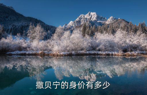 安徽資產(chǎn)過億的人有多少,中國的身價過億的人有多少