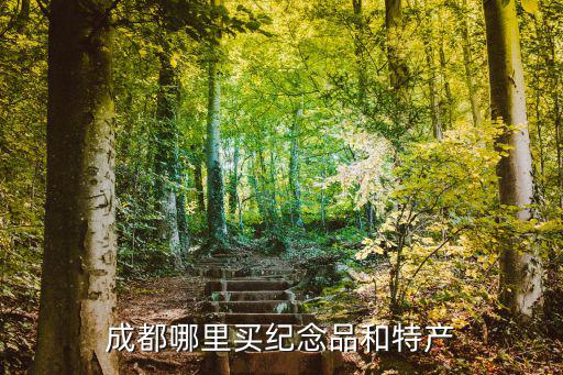 成都哪里買(mǎi)紀(jì)念品和特產(chǎn)