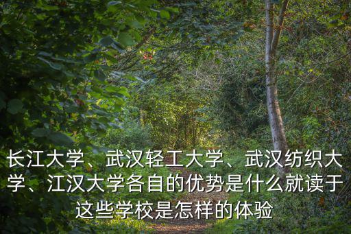 從武漢輕工大學到江漢大學怎么坐車,武漢輕工大學