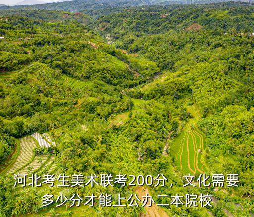 河北考生美術聯考200分，文化需要多少分才能上公辦二本院校