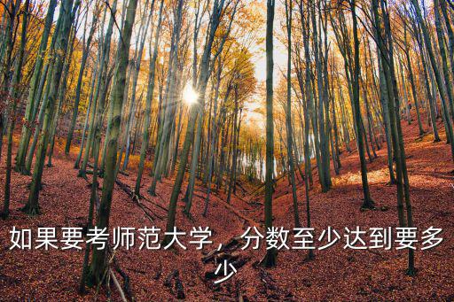 成考考多少分上阜陽師范大學,分數至少達到要多少