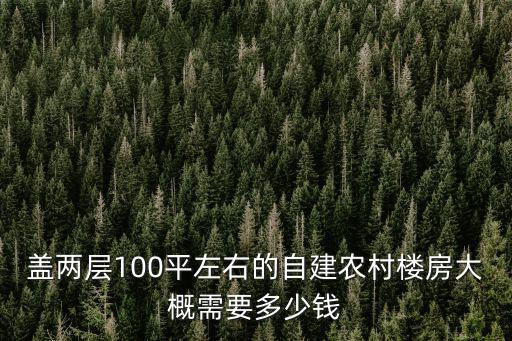 蓋兩層100平左右的自建農村樓房大概需要多少錢