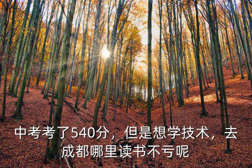 中考考了540分，但是想學(xué)技術(shù)，去成都哪里讀書不虧呢