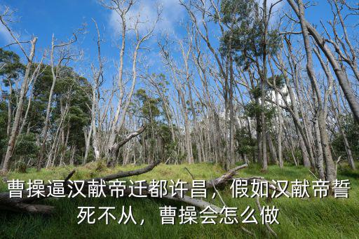 漢獻帝逃出許昌會怎么樣,曹操逼漢獻帝遷都許昌