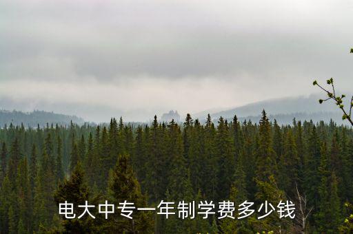 安慶電大學(xué)費(fèi)多少,電大中專一年制學(xué)費(fèi)多少錢