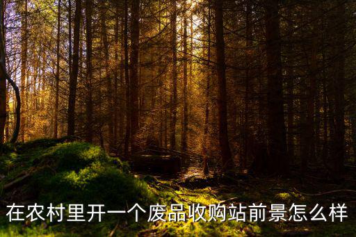 在鄭州開廢品站怎么樣,開一個廢品回收站前景怎么樣