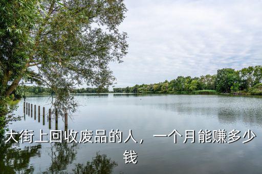 大街上回收廢品的人，一個月能賺多少錢
