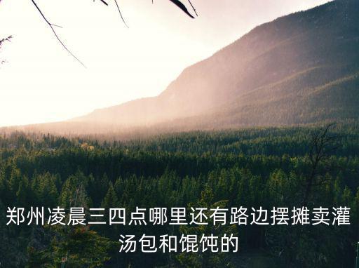 鄭州哪里能擺攤白天,請問鄭州都那里可以擺攤