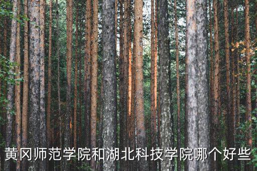 湖北科技學(xué)院的醫(yī)學(xué)專業(yè)怎么樣,湖北科技學(xué)院的專升本考試