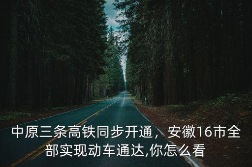 中原三條高鐵同步開通，安徽16市全部實現動車通達,你怎么看