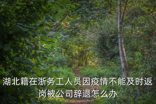 湖北不能按時(shí)返工人員怎么辦,如果不能按時(shí)到怎么辦