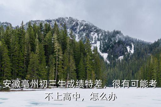 安徽中考每年有多少人考不上高中,很有可能考不上高中