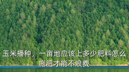 芝麻地每畝施肥多少復合肥,怎么施肥才能不浪費