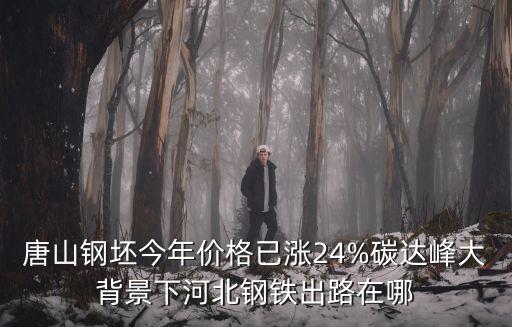唐山鋼坯今年價(jià)格已漲24%碳達(dá)峰大背景下河北鋼鐵出路在哪