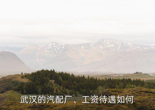 武漢世亞汽配廠怎么樣,武漢東風(fēng)汽配廠待遇怎么樣