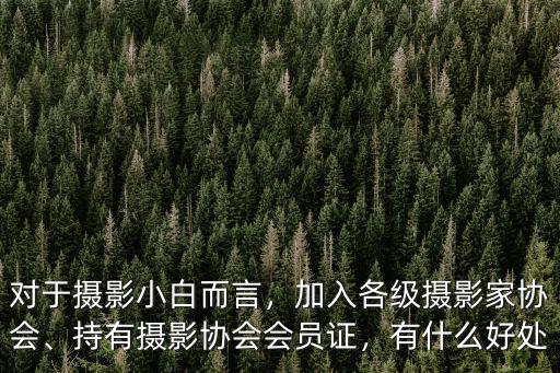 安徽省攝影家協(xié)會(huì)會(huì)費(fèi)是多少,加入各級(jí)攝影家協(xié)會(huì)