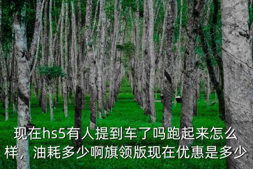 合肥紅旗hs5現在價格優惠多少,旗領版現在優惠是多少