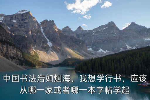 中國(guó)書(shū)法浩如煙海，我想學(xué)行書(shū)，應(yīng)該從哪一家或者哪一本字帖學(xué)起