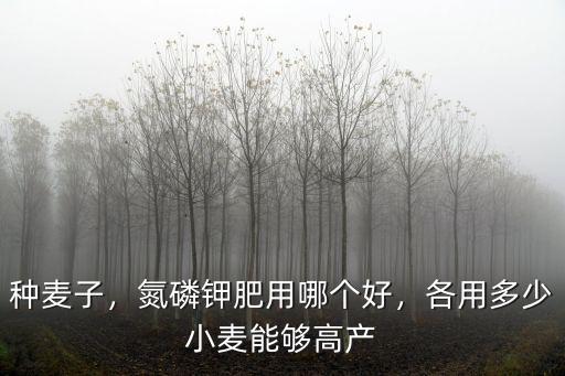 種麥子，氮磷鉀肥用哪個(gè)好，各用多少小麥能夠高產(chǎn)