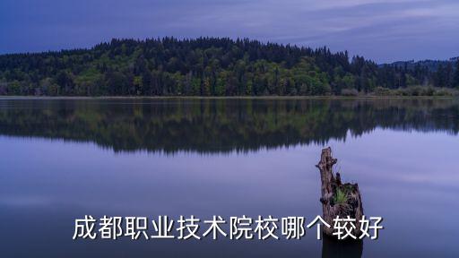 成都汽車專業(yè)職業(yè)學(xué)校在哪里,成都汽車職校開設(shè)了哪些專業(yè)
