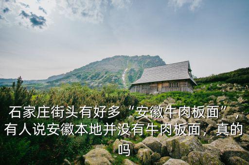 正宗安徽板面粗細是多少,牛肉板面是哪里的比較正宗