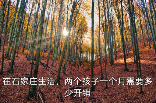 在石家莊生活，兩個孩子一個月需要多少開銷