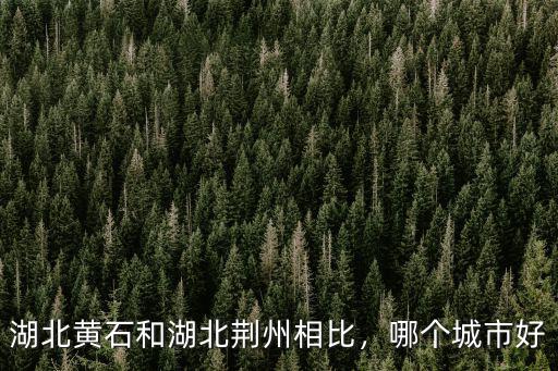 湖北黃石和湖北荊州相比，哪個城市好