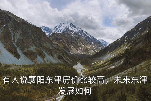 有人說(shuō)襄陽(yáng)東津房?jī)r(jià)比較高，未來(lái)東津發(fā)展如何