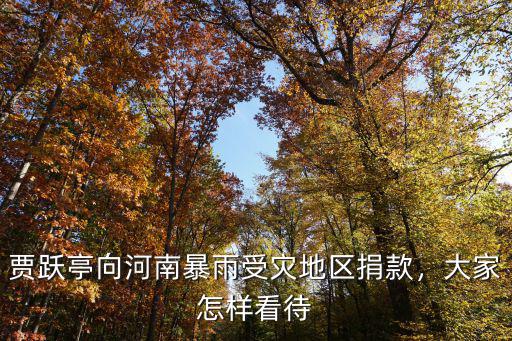 河南災情吉利捐款多少,辛巴河南災情捐款2600萬
