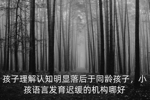 孩子理解認知明顯落后于同齡孩子，小孩語言發(fā)育遲緩的機構哪好