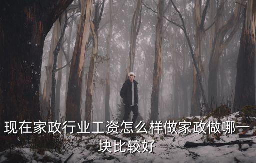在武漢做家政這個行業(yè)怎么樣,在三線城市做家政行業(yè)