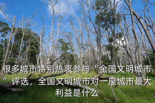很多城市特別熱衷參與“全國文明城市”評選，全國文明城市對一座城市最大利益是什么