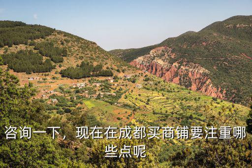 咨詢一下，現(xiàn)在在成都買商鋪要注重哪些點呢