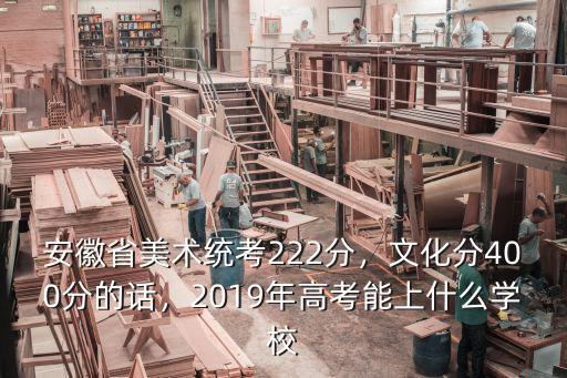 安徽省美術(shù)統(tǒng)考222分，文化分400分的話，2019年高考能上什么學(xué)校