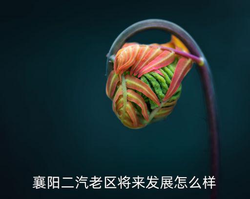 襄陽二汽老區將來發展怎么樣