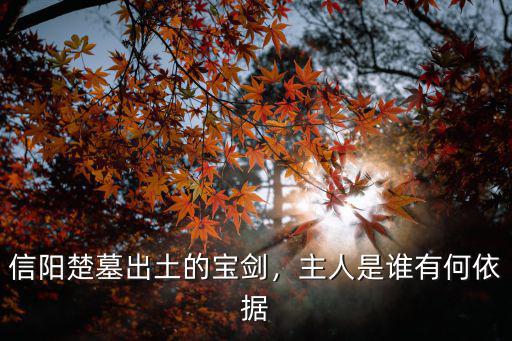信陽楚墓出土的寶劍，主人是誰有何依據