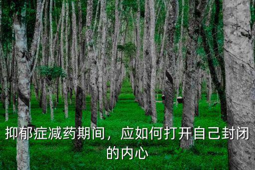 抑郁癥減藥期間，應如何打開自己封閉的內心