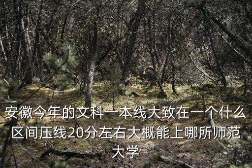 合肥文科一本線多少,安徽文科生多少分能上985