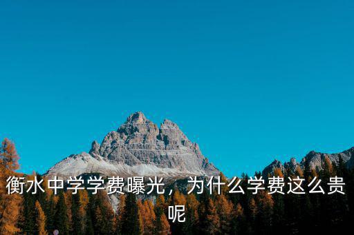 衡水十三中學學費多少錢,衡水中學學費是多少