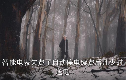 智能電表欠費了自動停電續(xù)費后幾少時送電