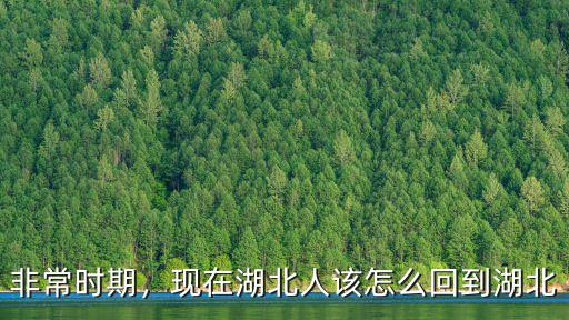 非常時期，現在湖北人該怎么回到湖北
