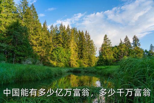安徽亳州多少億萬富豪,中國有多少億萬富翁