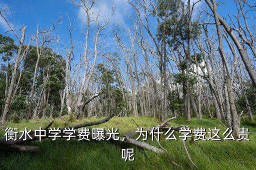 衡水中學學費曝光，為什么學費這么貴呢